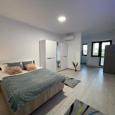 Studio Apartment Palas Mall 雅西 外观 照片