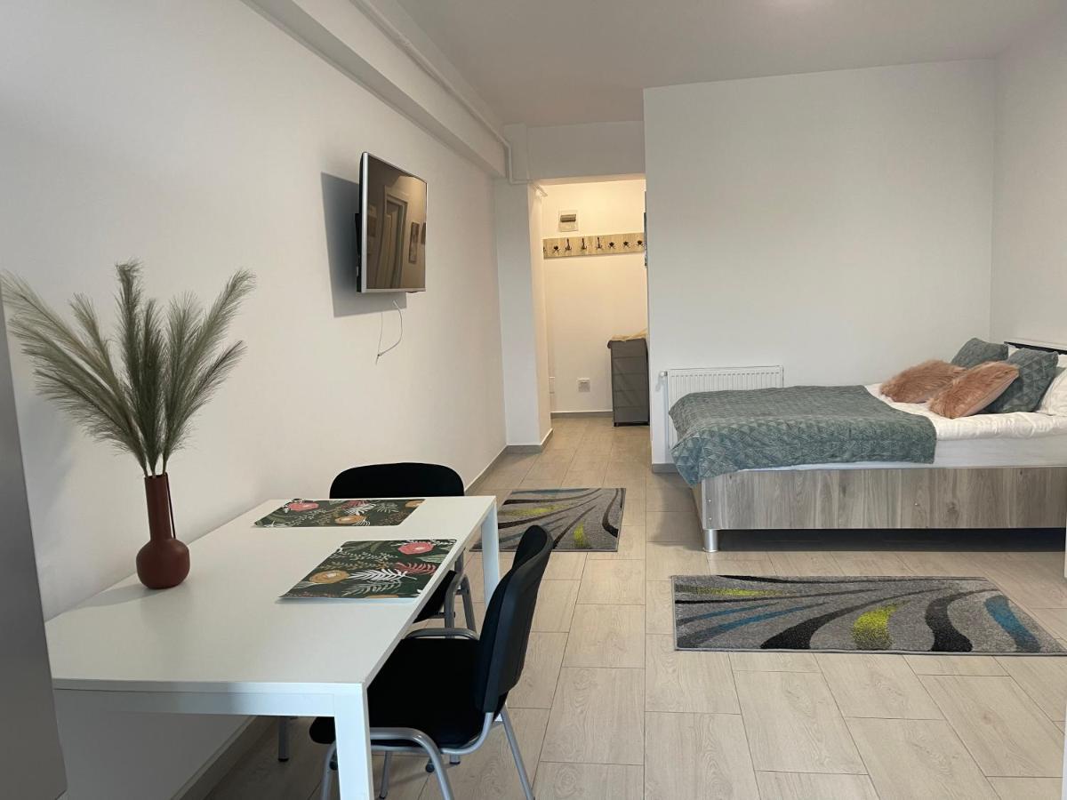 Studio Apartment Palas Mall 雅西 外观 照片