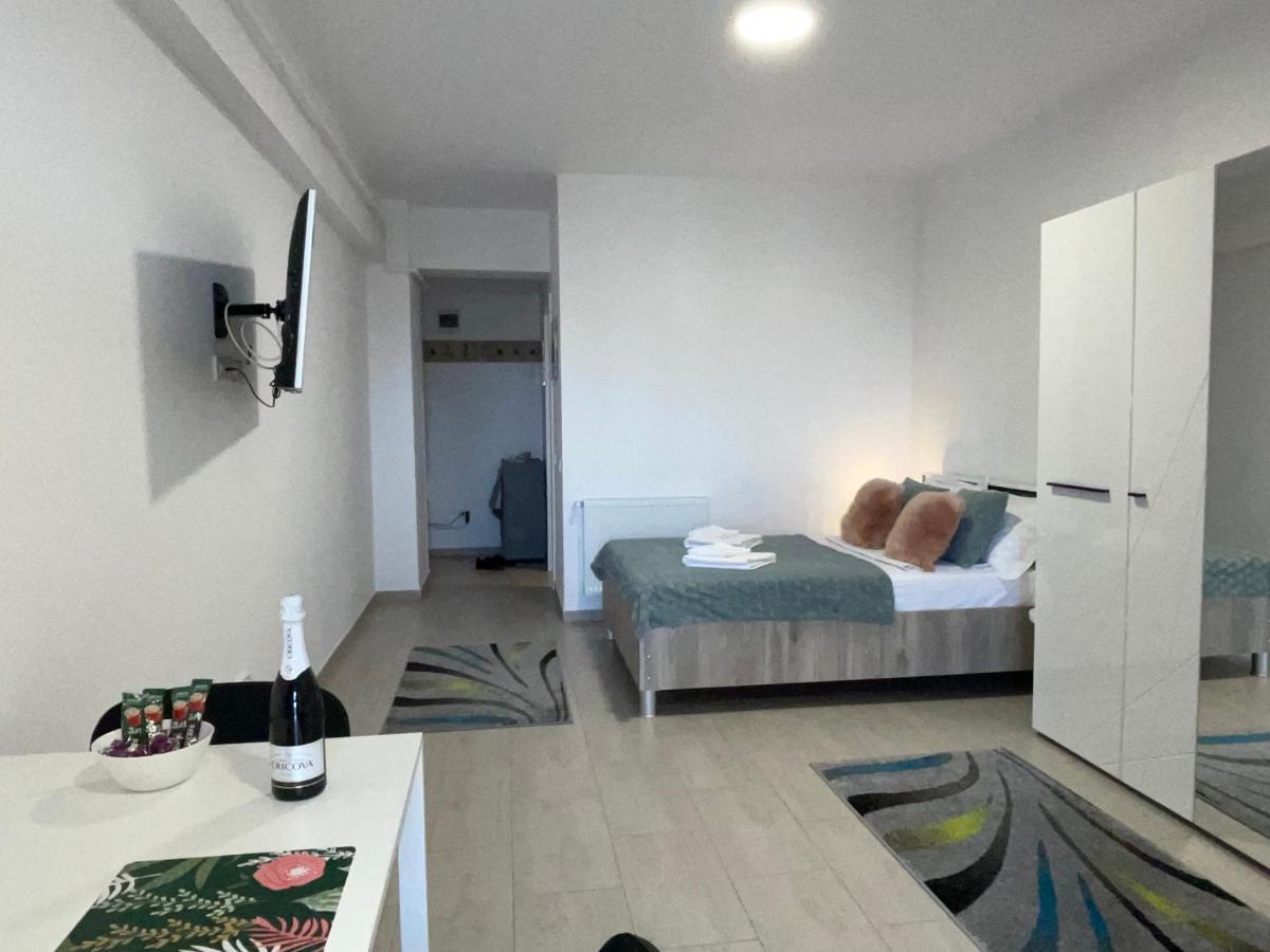 Studio Apartment Palas Mall 雅西 外观 照片