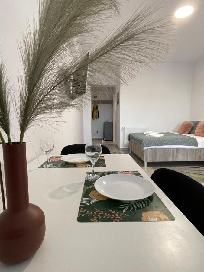 Studio Apartment Palas Mall 雅西 外观 照片