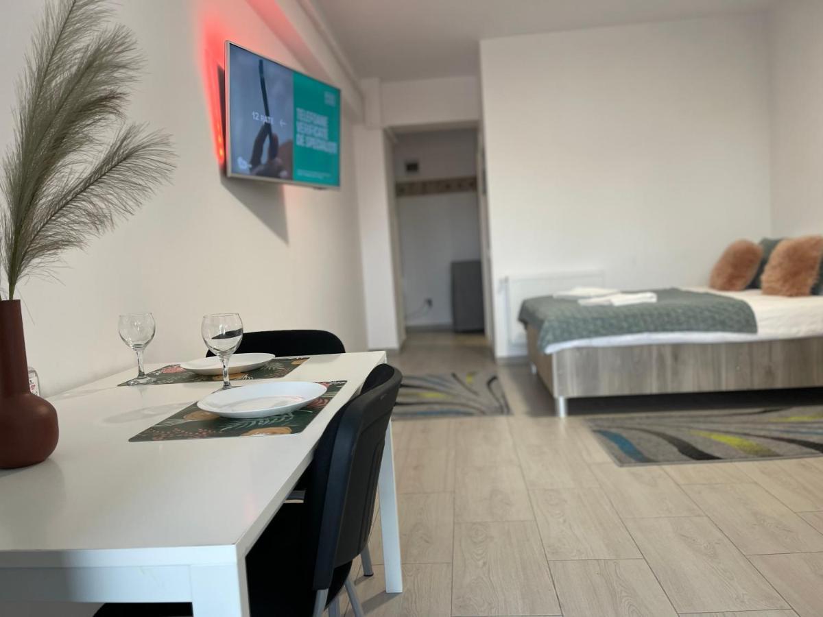 Studio Apartment Palas Mall 雅西 外观 照片