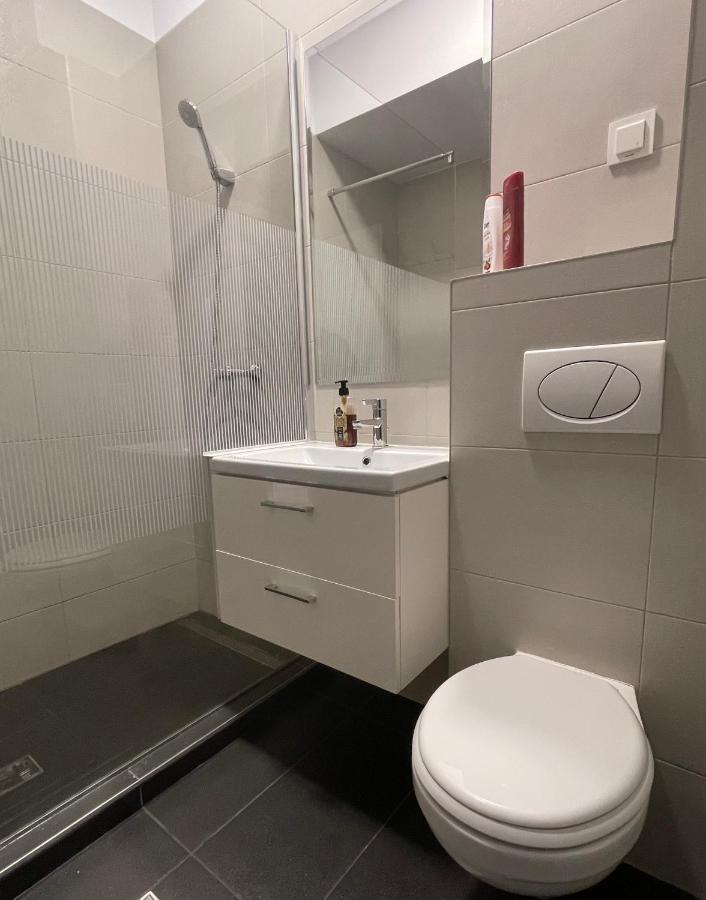 Studio Apartment Palas Mall 雅西 外观 照片
