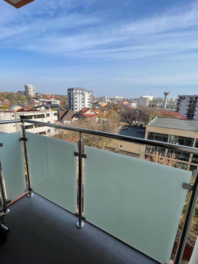 Studio Apartment Palas Mall 雅西 外观 照片