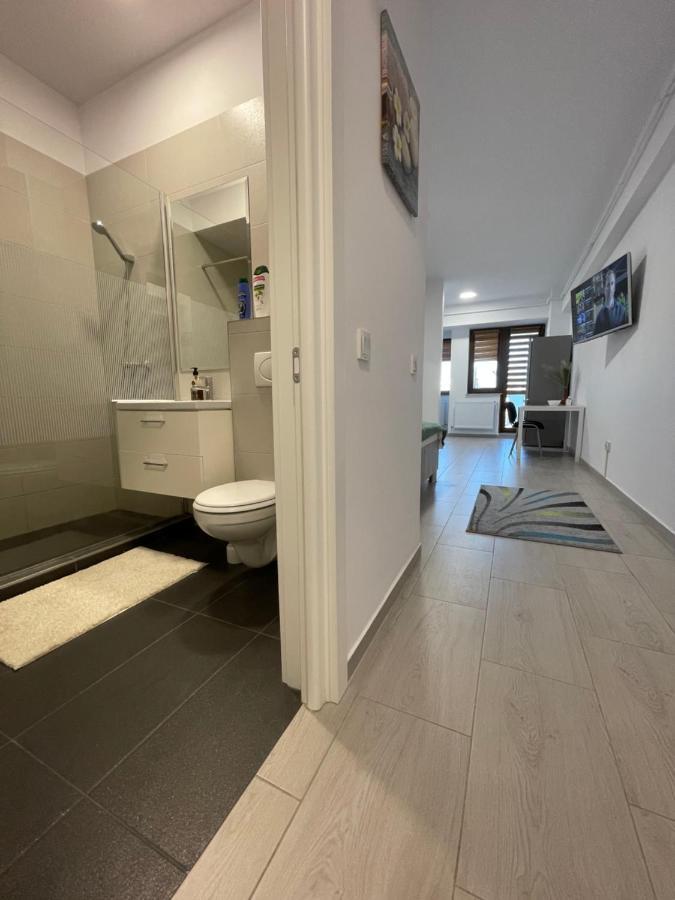 Studio Apartment Palas Mall 雅西 外观 照片